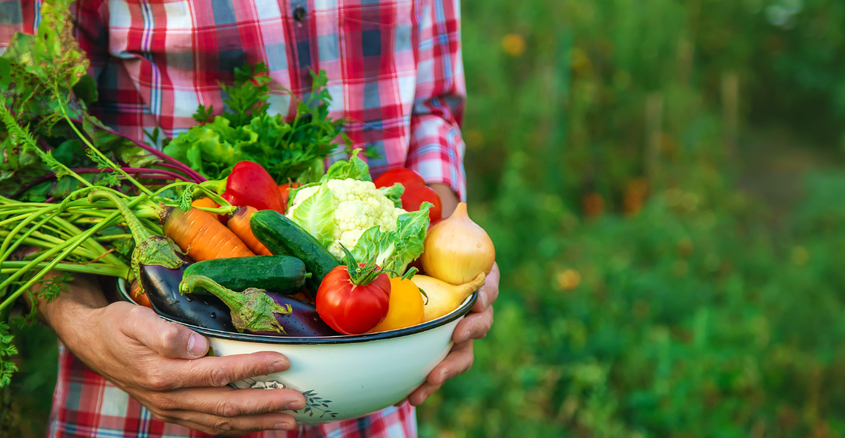 Basket of Veg